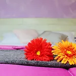 Cielo Stellato Bed & Breakfast