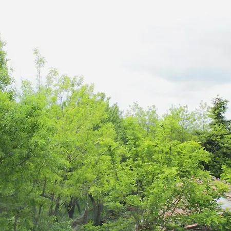 Bed & Breakfast Cielo Stellato